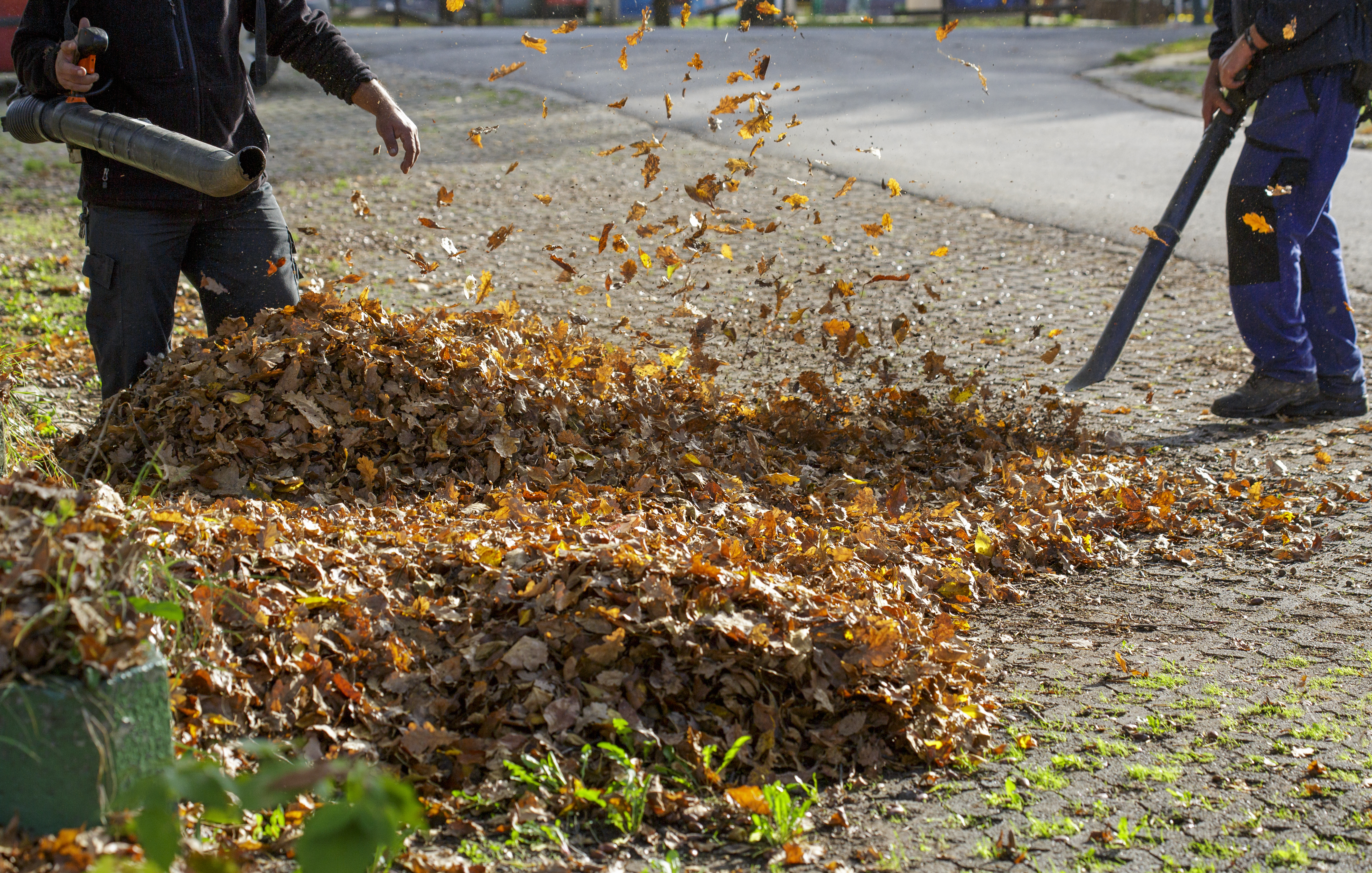 Autumn leaf cleaning In park