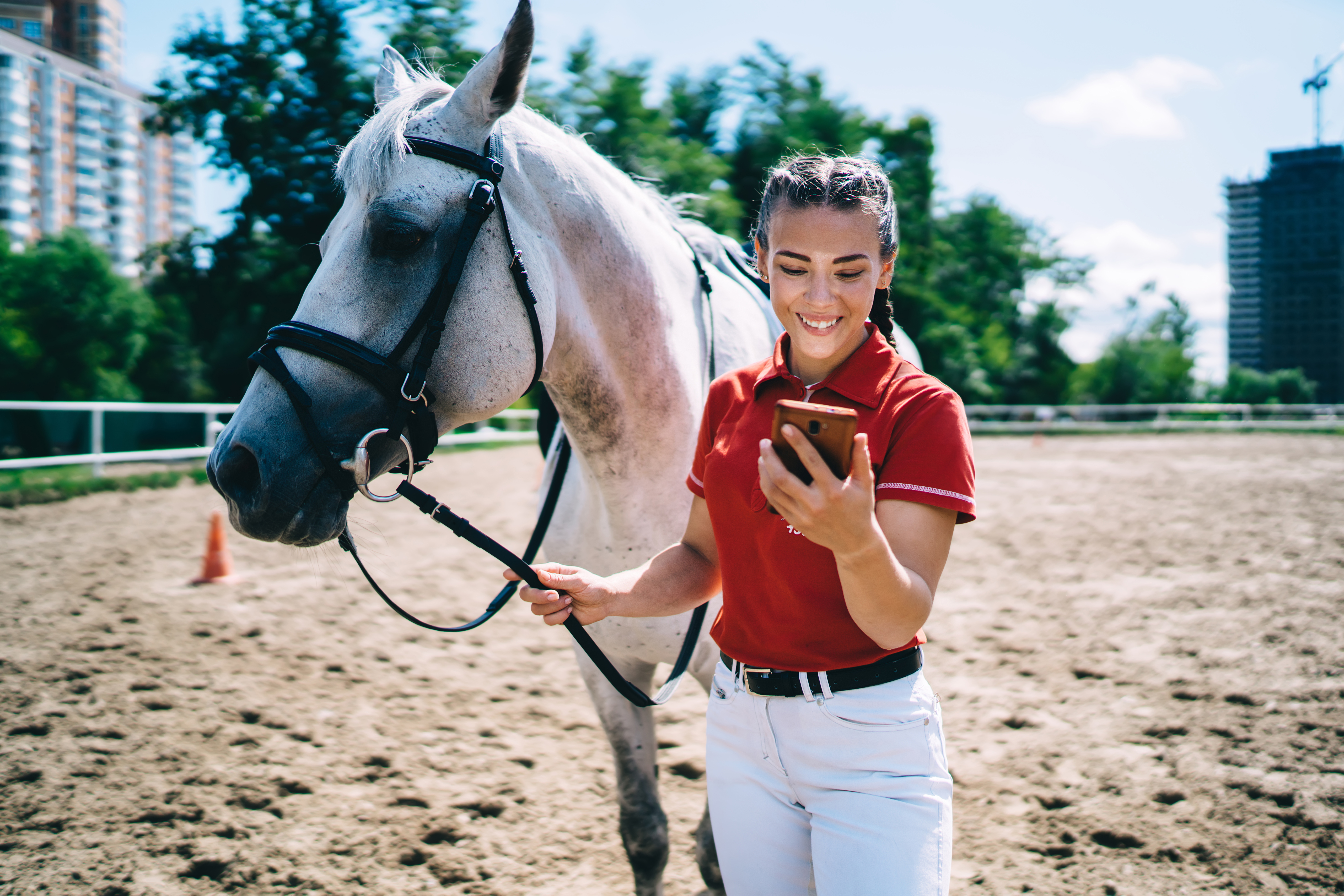 Female smiling jockey in casual outfit surfing internet on cellphone while walking grey horse on riding arena in summer afternoon