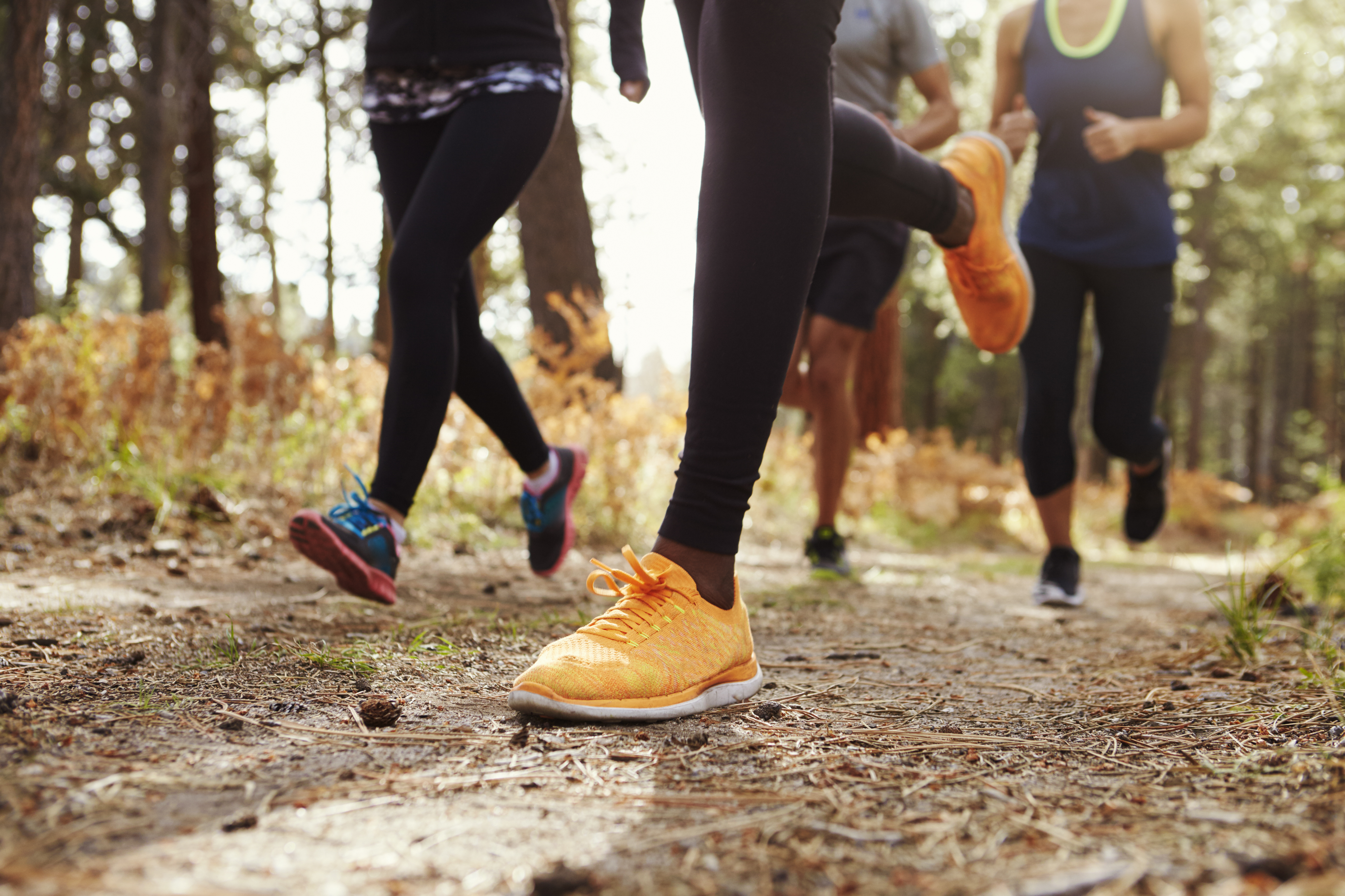 Benen en loopschoenen van groep volwassen lopers in een bos