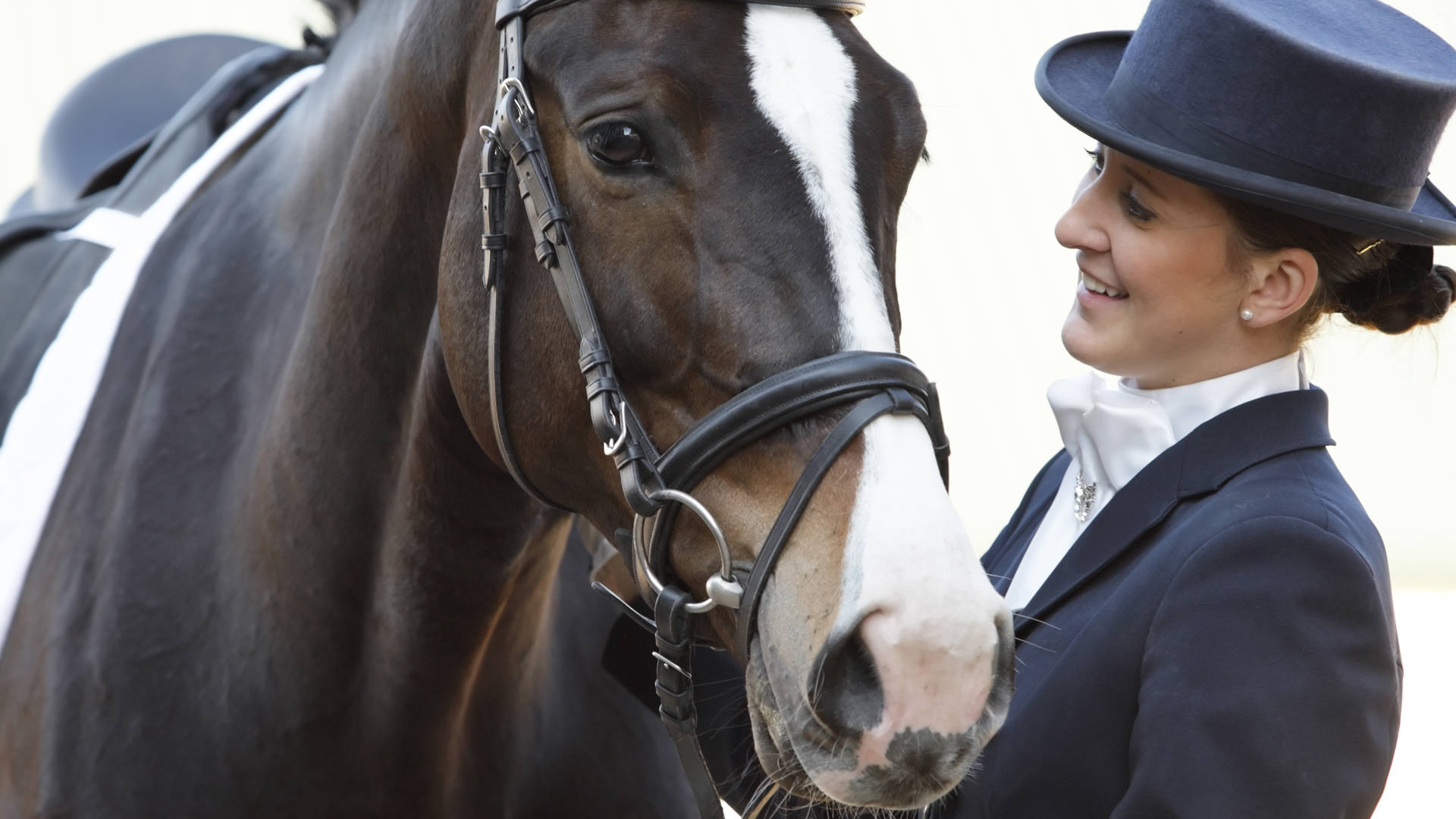 Ruiter naast paard