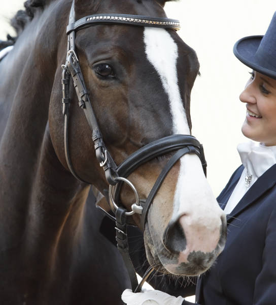 Ruiter naast paard