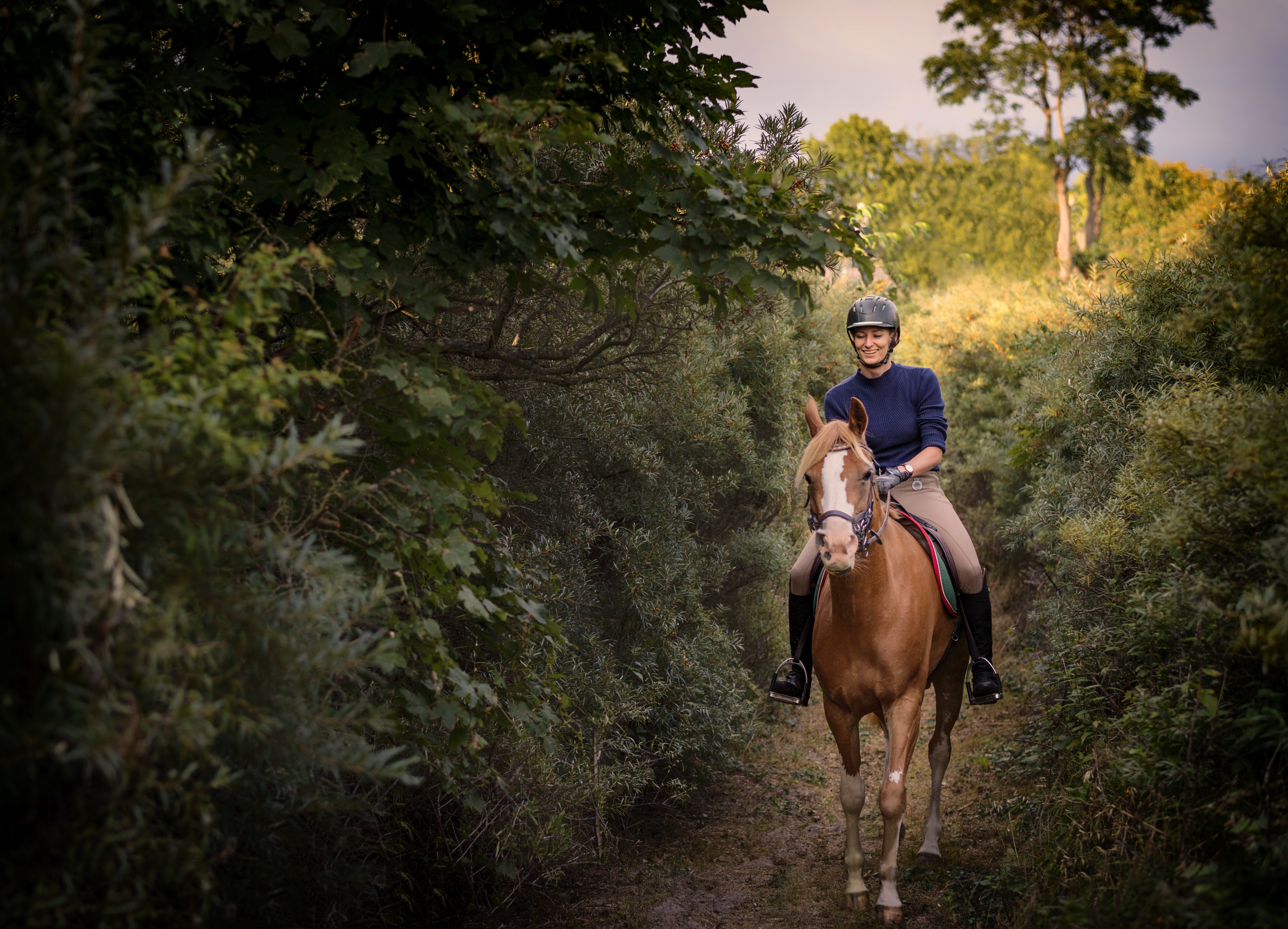 Portrait of a young woman who is riding her tan coloured Arabian horse through the woods on her way to the beach. Photographed the island of Møn in Denmark. Colour, horizontal with some copy space.