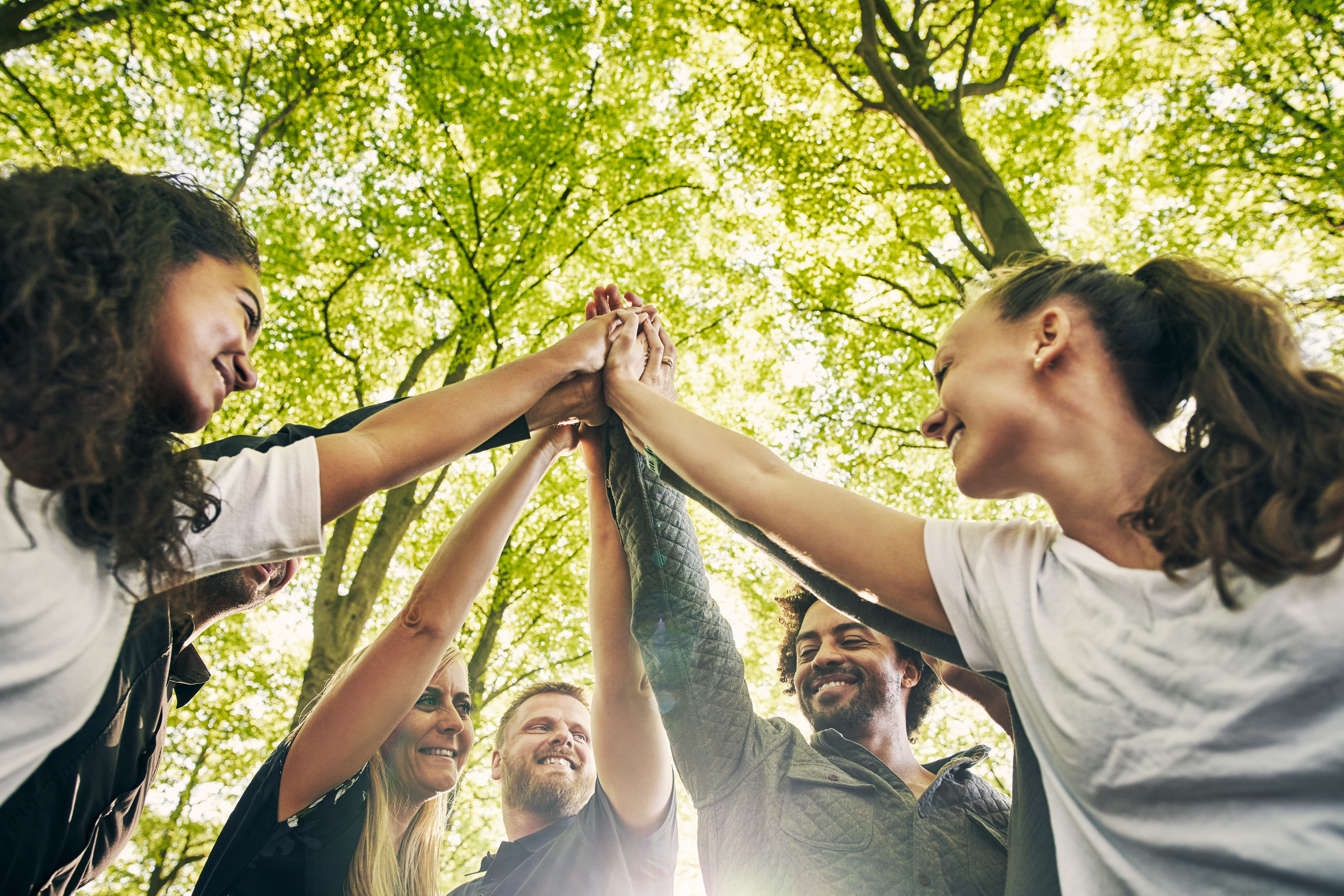 Cropped shot of a group of diverse colleagues team building at a company retreat