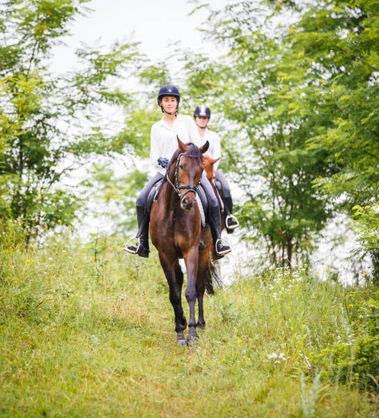 Two rider woman on horses going down from the hill. Equestrian summer activities background