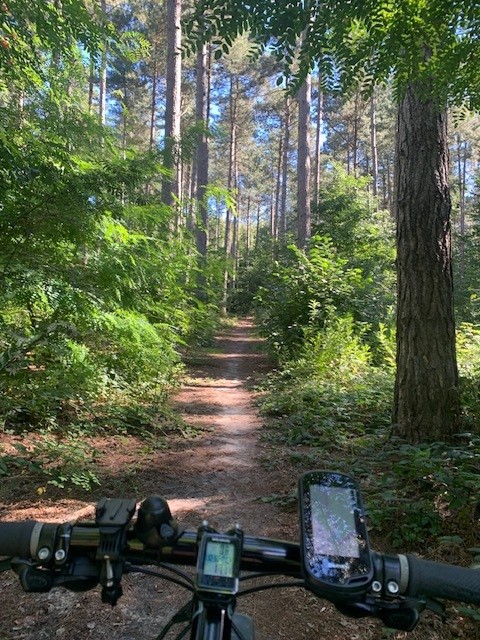 Foto genomen door Nico Motton
Mountainbike in Meerdaalwoud